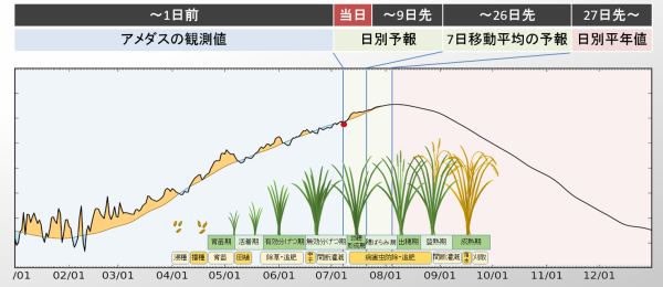 気温グラフと水稲生育.png